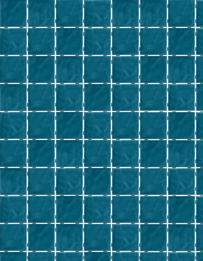 hocoos product